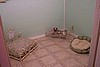Wrought Iron Bed